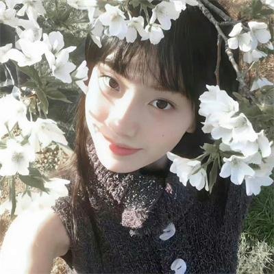 歌舞飞扬